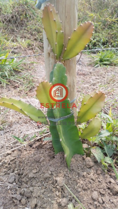 Imagem Imóvel à Venda, 2.000 m² em Chácara Itapoã - Jacareí