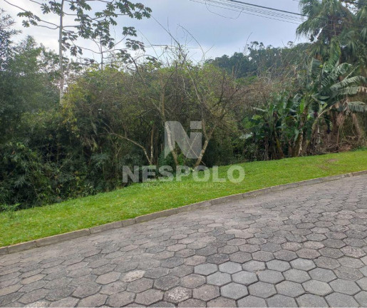 Imagem Terreno à Venda, em Fidélis - Blumenau Imagem Terreno à Venda, em Fidélis - Blumenau