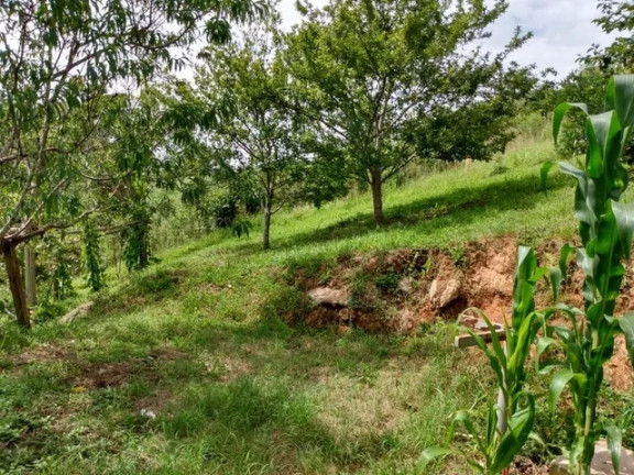 Imóvel à Venda, 181.500 m² em São João Do Caiva - Lapa