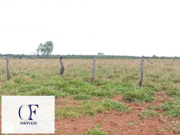 Imagem Fazenda à Venda, 3.097 m² em Rural - Chapadão Do Sul Imagem Fazenda à Venda, 3.097 m² em Rural - Chapadão Do Sul