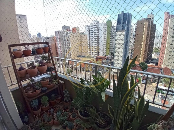 Imagem Apartamento com 2 Quartos à Venda, 86 m² em Cambuí - Campinas Imagem Apartamento com 2 Quartos à Venda, 86 m² em Cambuí - Campinas