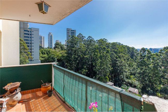 Imagem Imóvel com 4 Quartos à Venda, em Paraisópolis - São Paulo Imagem Imóvel com 4 Quartos à Venda, em Paraisópolis - São Paulo