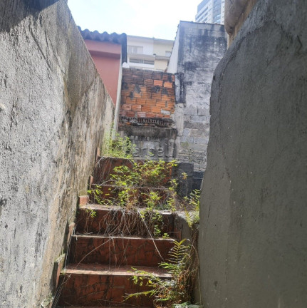 Imagem Casa com 3 Quartos à Venda, 380 m² em Alto Da Lapa - São Paulo
