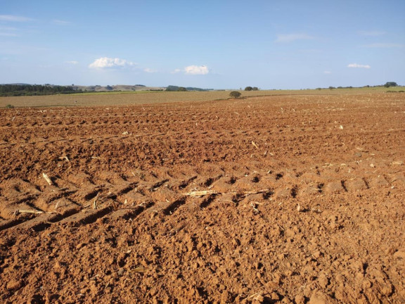 Imagem Fazenda à Venda, 70 m² em Rural - Itapetininga Imagem Fazenda à Venda, 70 m² em Rural - Itapetininga
