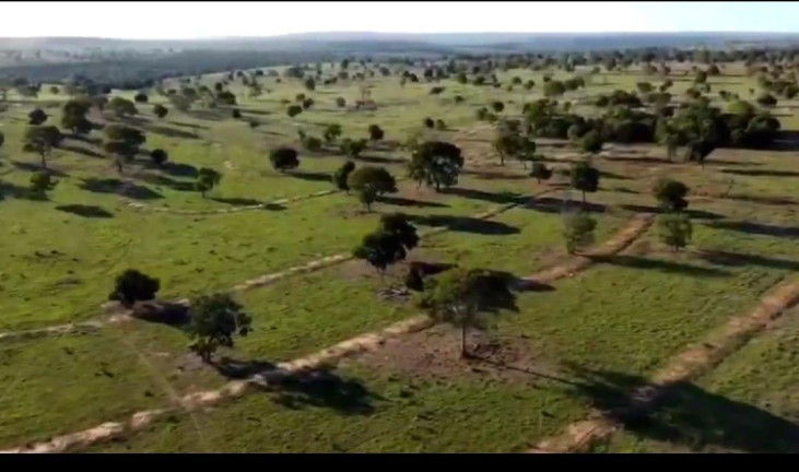 Imagem Fazenda à Venda, 4.534 m² em Rural - Camapuã Imagem Fazenda à Venda, 4.534 m² em Rural - Camapuã