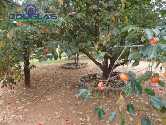 Imagem Casa com 2 Quartos à Venda, 2.400 m² em Viamão Imagem Casa com 2 Quartos à Venda, 2.400 m² em Viamão