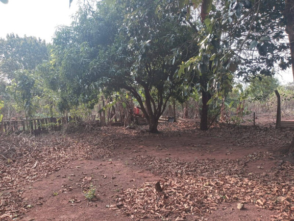 Imagem Chácara à Venda, 2 m² em Vilagio Das Palmeiras - Sabáudia Imagem Chácara à Venda, 2 m² em Vilagio Das Palmeiras - Sabáudia