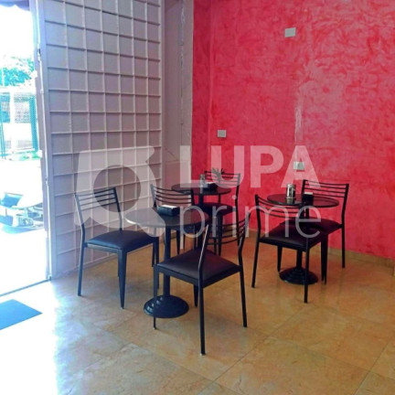 Imagem Casa com 5 Quartos à Venda, 292 m² em Vila Guilherme - São Paulo Imagem Casa com 5 Quartos à Venda, 292 m² em Vila Guilherme - São Paulo