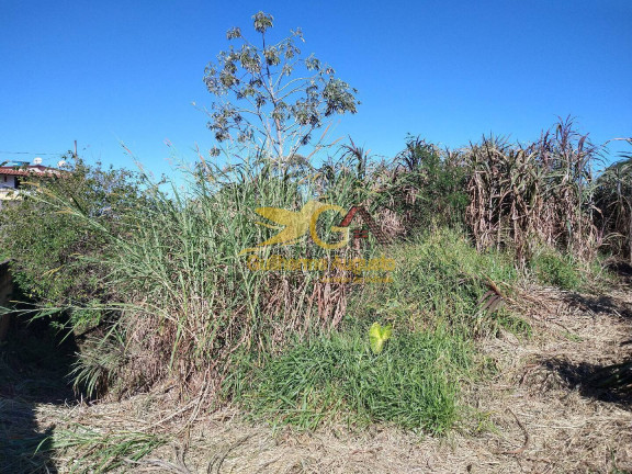 Imagem Terreno à Venda, 7 m² em Bela Vista - São João Del Rei Imagem Terreno à Venda, 7 m² em Bela Vista - São João Del Rei