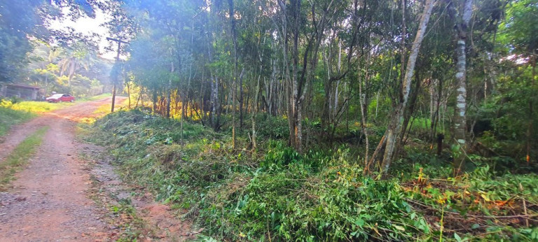 Imagem Imóvel à Venda, 282 m² em Loteamento Bosque Dos Palmares - Atibaia Imagem Imóvel à Venda, 282 m² em Loteamento Bosque Dos Palmares - Atibaia