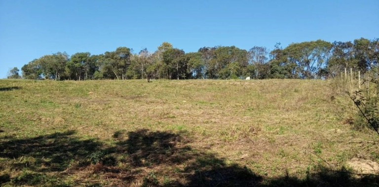 Imagem Terreno à Venda, em Ferrari - Campo Largo Imagem Terreno à Venda, em Ferrari - Campo Largo