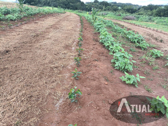 Imagem Fazenda à Venda, 47 m² em Morro Redondo - Monte Santo De Minas Imagem Fazenda à Venda, 47 m² em Morro Redondo - Monte Santo De Minas