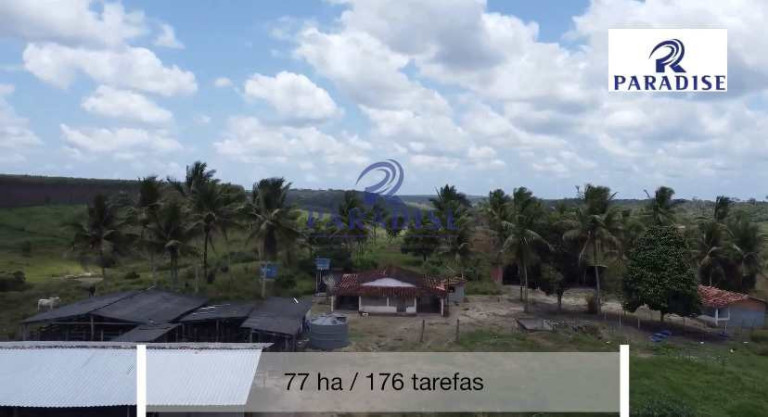 Imagem Fazenda à Venda, 766.000 m² em Zona Rural - Cardeal Da Silva Imagem Fazenda à Venda, 766.000 m² em Zona Rural - Cardeal Da Silva