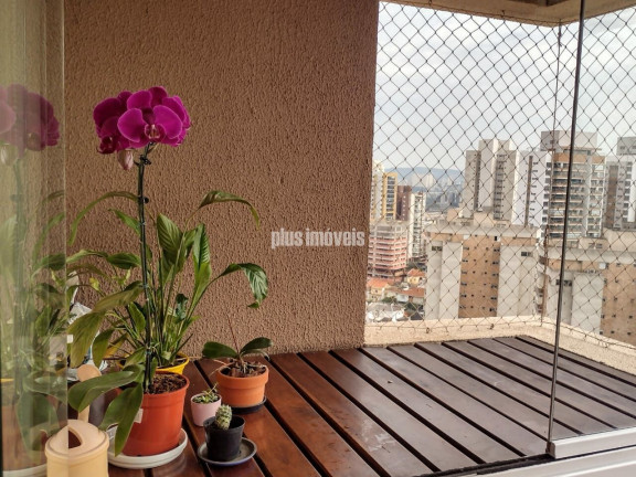 Imagem Apartamento com 2 Quartos à Venda, 50 m² em Vila Pompéia - São Paulo Imagem Apartamento com 2 Quartos à Venda, 50 m² em Vila Pompéia - São Paulo