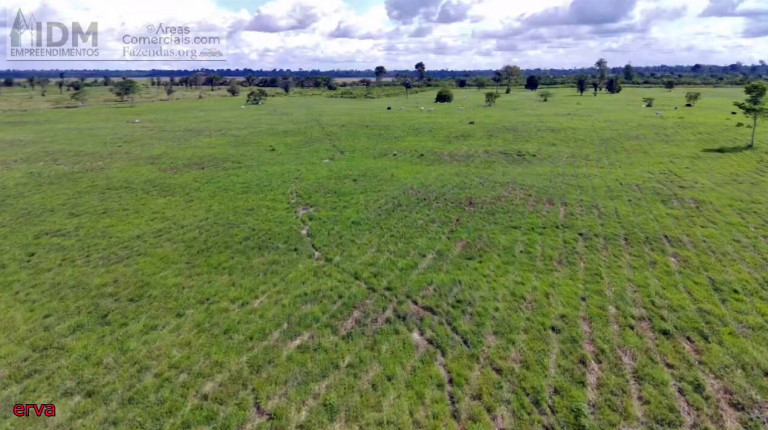 Imagem Chácara à Venda, 21.890.000 m² em Centro - Baião
