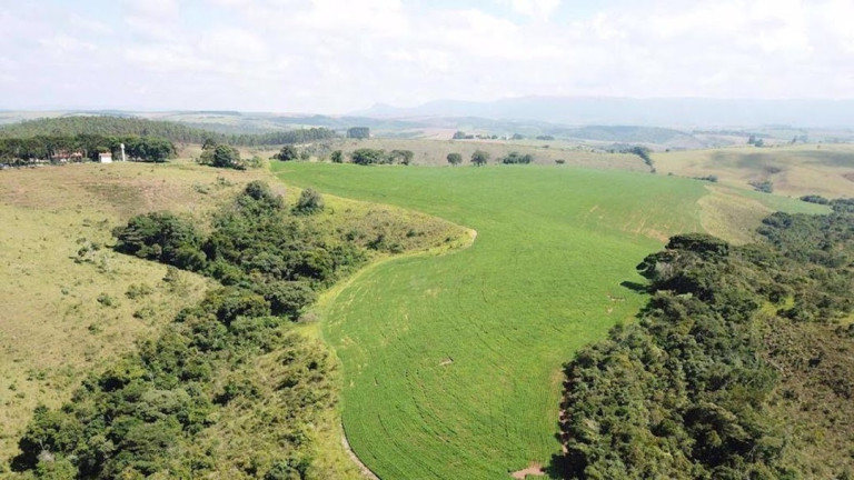 Imagem Fazenda à Venda, 120 m² em Zona Rural - Cruzília Imagem Fazenda à Venda, 120 m² em Zona Rural - Cruzília