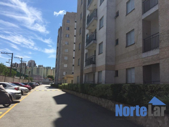 Imagem Apartamento com 2 Quartos à Venda, 50 m² em Vila Palmeiras - São Paulo