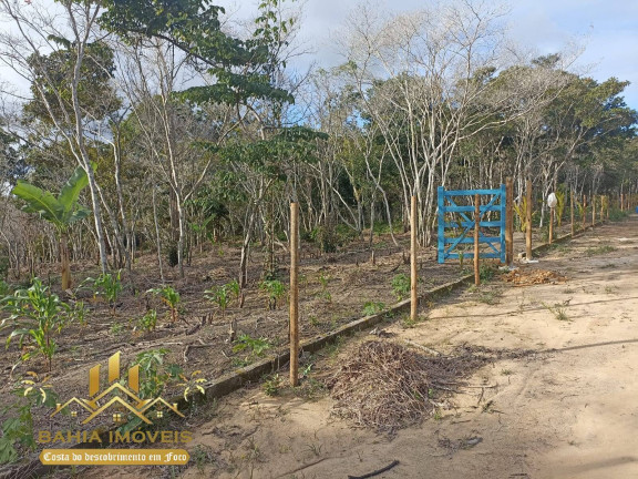 Imagem Chácara à Venda, em Br 367 - Porto Seguro Imagem Chácara à Venda, em Br 367 - Porto Seguro