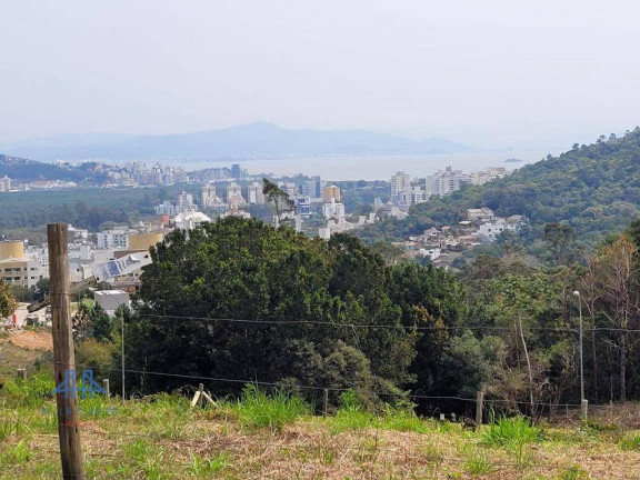 Imagem Terreno à Venda, 485 m² em Itacorubi - Florianópolis