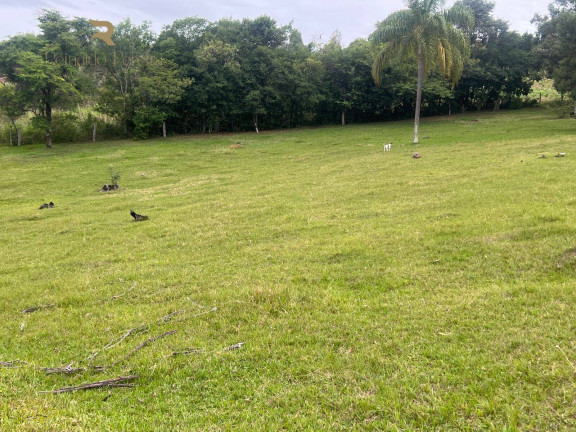 Imagem Chácara com 2 Quartos à Venda, 32.000 m² em Fazenda Fialho - Taquara