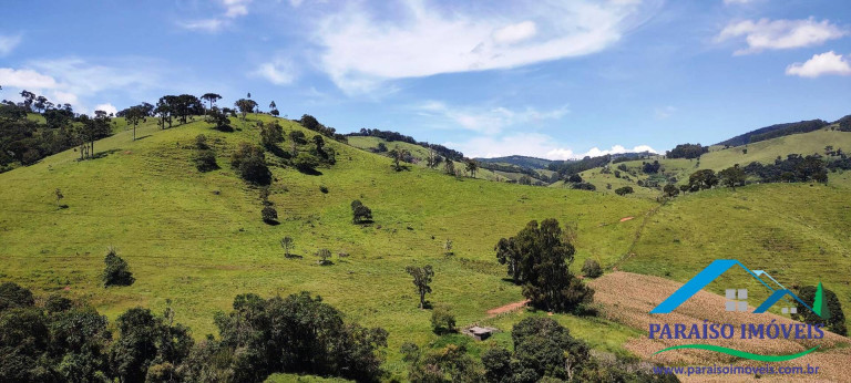Imagem Chácara à Venda, 24 m² em Centro - Paraisópolis Imagem Chácara à Venda, 24 m² em Centro - Paraisópolis