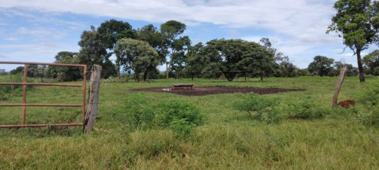 Imagem Fazenda à Venda, 121 m² em Zona Rural - Montes Claros De Goiás