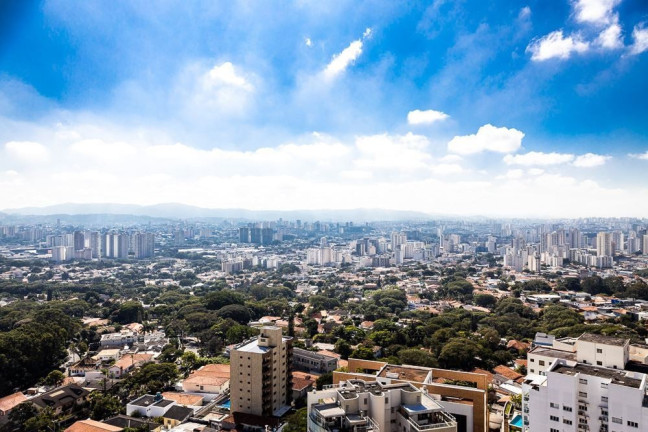 Imagem Apartamento com 4 Quartos à Venda, 480 m² em Alto Da Lapa - São Paulo