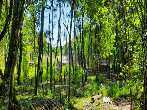 Imagem Terreno à Venda, 150 m² em Linha Araripe - Nova Petrópolis