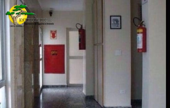 Imagem Apartamento com 2 Quartos à Venda, 50 m² em Santa Teresinha - São Paulo