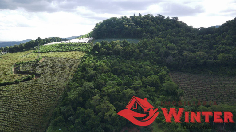 Imagem Chácara à Venda, 16 m² em Picão - Feliz Imagem Chácara à Venda, 16 m² em Picão - Feliz