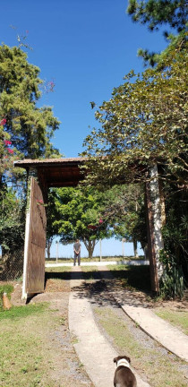 Imagem Fazenda à Venda, 5 m² em Centro - Guareí Imagem Fazenda à Venda, 5 m² em Centro - Guareí