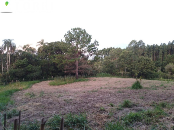 Imagem Imóvel com 5 Quartos à Venda, 400 m² em Aparecida - Araçoiaba Da Serra Imagem Imóvel com 5 Quartos à Venda, 400 m² em Aparecida - Araçoiaba Da Serra