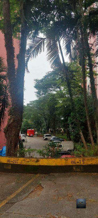 Imagem Apartamento com 2 Quartos à Venda, 60 m² em Cidade Ademar - São Paulo
