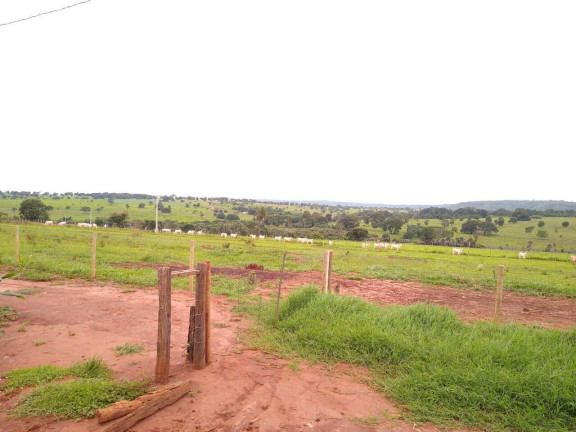Imagem Fazenda à Venda, 23 m² em Centro - Santa Vitória Imagem Fazenda à Venda, 23 m² em Centro - Santa Vitória