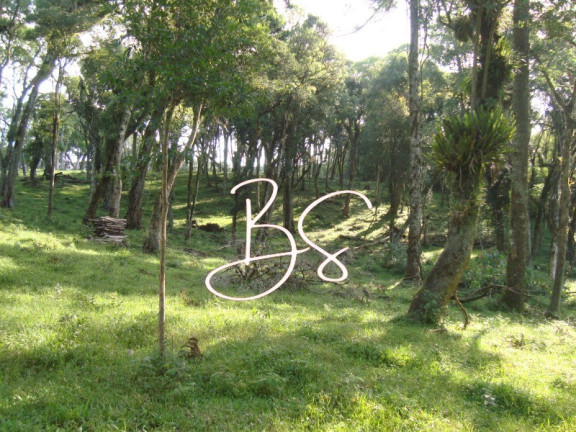 Imagem Terreno à Venda, 50.000 m² em Linha Bonita - Gramado Imagem Terreno à Venda, 50.000 m² em Linha Bonita - Gramado