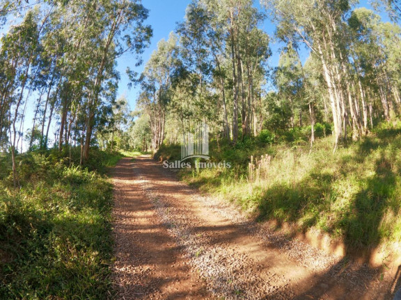 Imagem Terreno à Venda, 10.000 m² em São Cristovão - Flores Da Cunha Imagem Terreno à Venda, 10.000 m² em São Cristovão - Flores Da Cunha