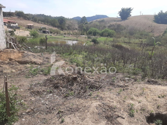 Imagem Chácara com 4 Quartos à Venda, 300 m² em Centro - Paraibuna