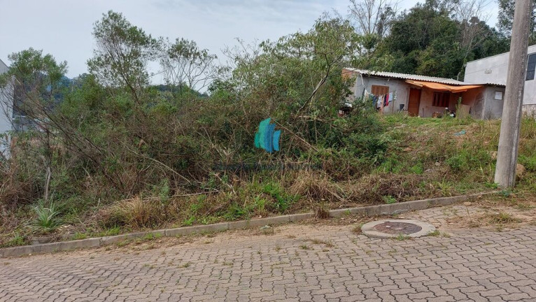 Imagem Terreno à Venda, 200 m² em Vila Nova Ii - Bento Gonçalves Imagem Terreno à Venda, 200 m² em Vila Nova Ii - Bento Gonçalves