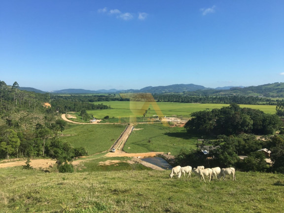 Imagem Fazenda à Venda, 15 m² em Laranjal - Imaruí Imagem Fazenda à Venda, 15 m² em Laranjal - Imaruí
