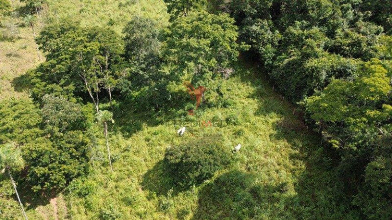 Imagem Imóvel com 2 Quartos à Venda, 70.000 m² em Centro - Santo Antônio De Goiás