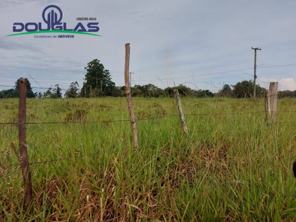 Imagem Chácara à Venda, em Viamão Imagem Chácara à Venda, em Viamão
