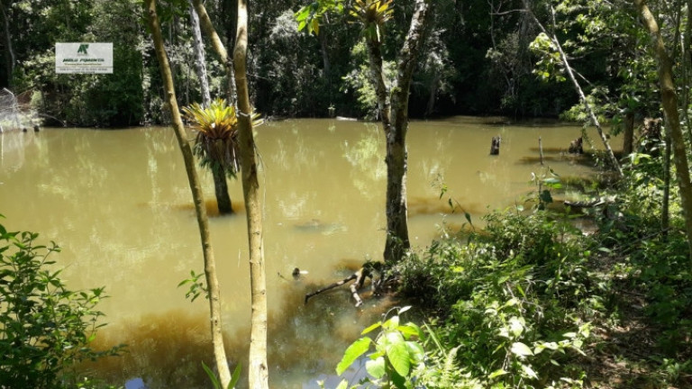Terreno à Venda, 1.700 m² em Alto Da Serra - São Roque