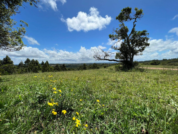 Imagem Chácara à Venda, 5 m² em Fiuza - Viamão Imagem Chácara à Venda, 5 m² em Fiuza - Viamão