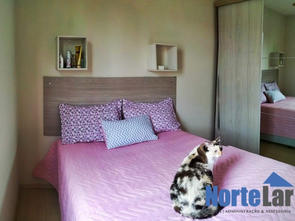 Imagem Apartamento com 2 Quartos à Venda, 52 m² em Vila Constança - São Paulo