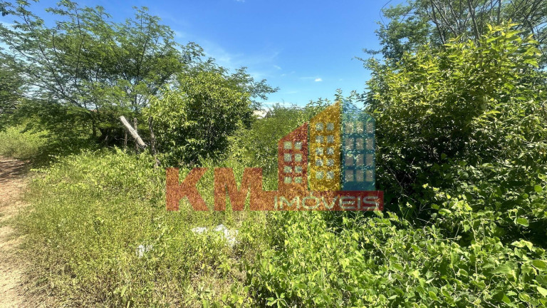 Imagem Terreno à Venda, 352 m² em Rincão - Mossoró Imagem Terreno à Venda, 352 m² em Rincão - Mossoró