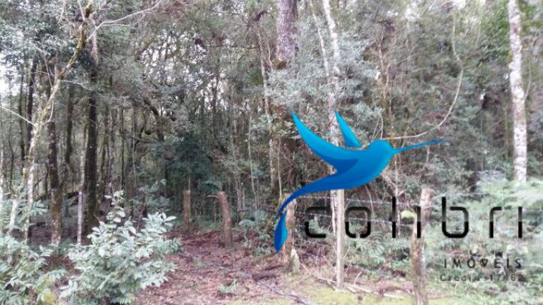 Imagem Chácara à Venda, 51.425 m² em Ribeirãozinho - Agudos Do Sul Imagem Chácara à Venda, 51.425 m² em Ribeirãozinho - Agudos Do Sul
