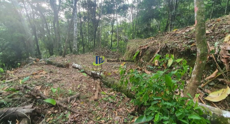 Imagem Imóvel à Venda,  em Centro - Camboriú