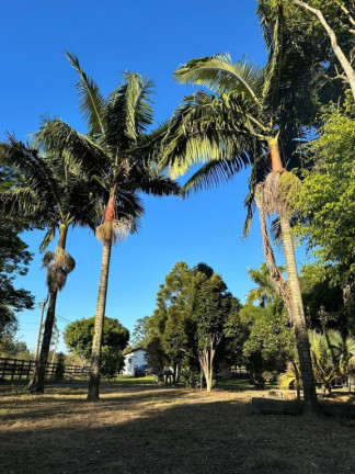 Imóvel à Venda,  em Cunha