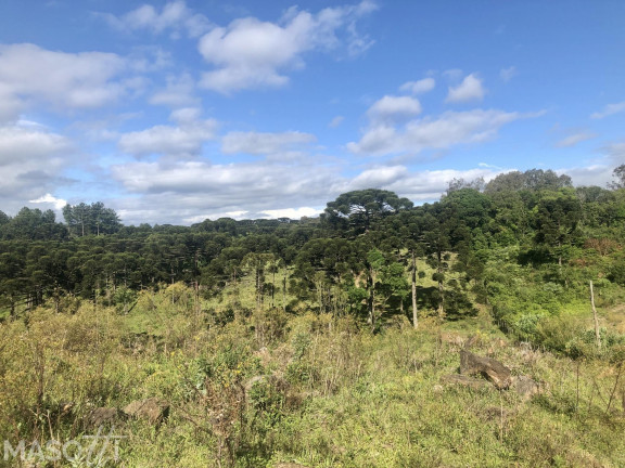 Imagem Chácara à Venda, 70.000 m² em Serra Grande Italiana - Gramado Imagem Chácara à Venda, 70.000 m² em Serra Grande Italiana - Gramado