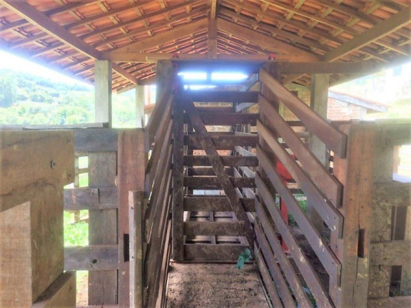 Imagem Imóvel com 3 Quartos à Venda, 448.000 m² em Roseta - Cambuí Imagem Imóvel com 3 Quartos à Venda, 448.000 m² em Roseta - Cambuí
